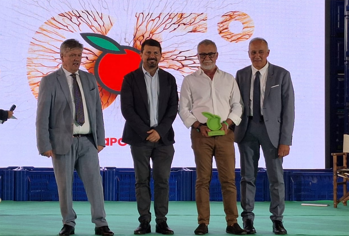 Da sinistra: Ernesto Fornari, Alessio Mammi, Paolo Pari e Mirco Zanotti